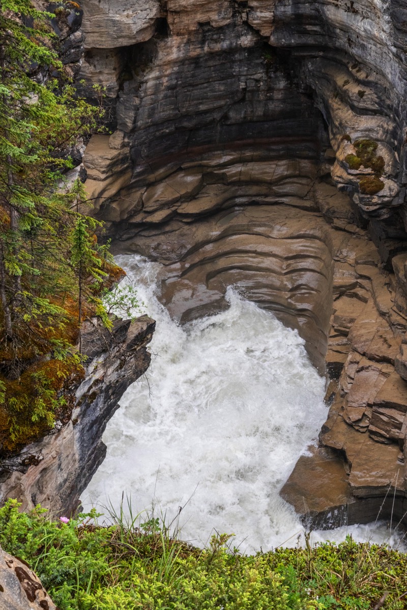 Athabasca... Falls or Rapid?