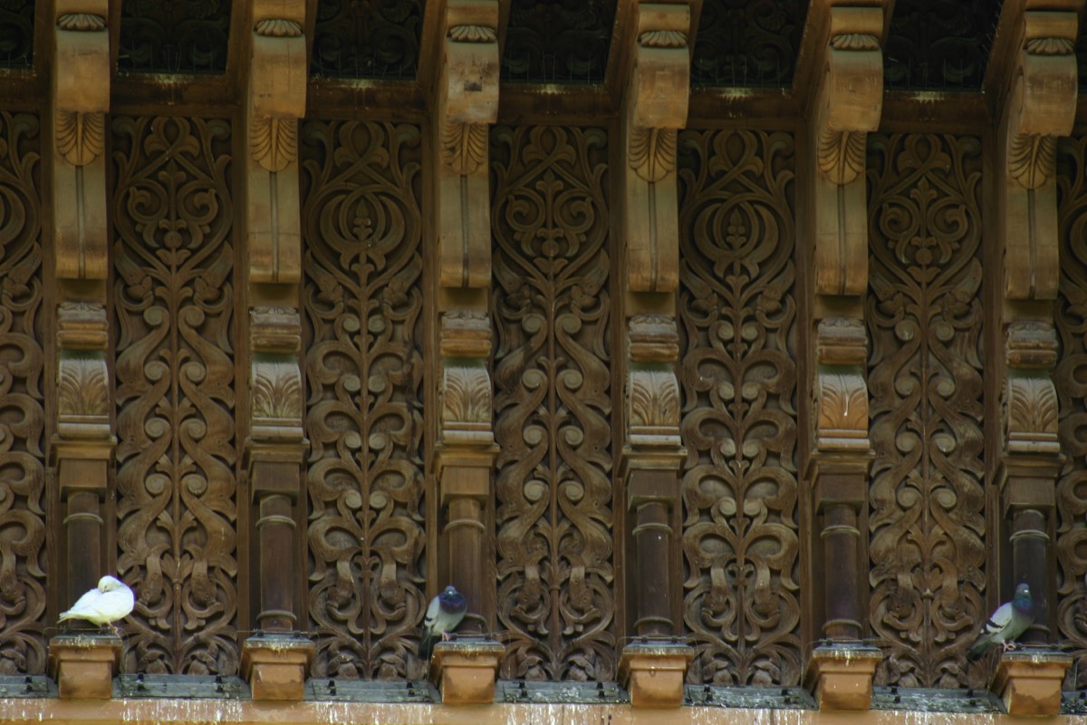 Sevilla - Doves on a wall of the Patio de los Naranjos