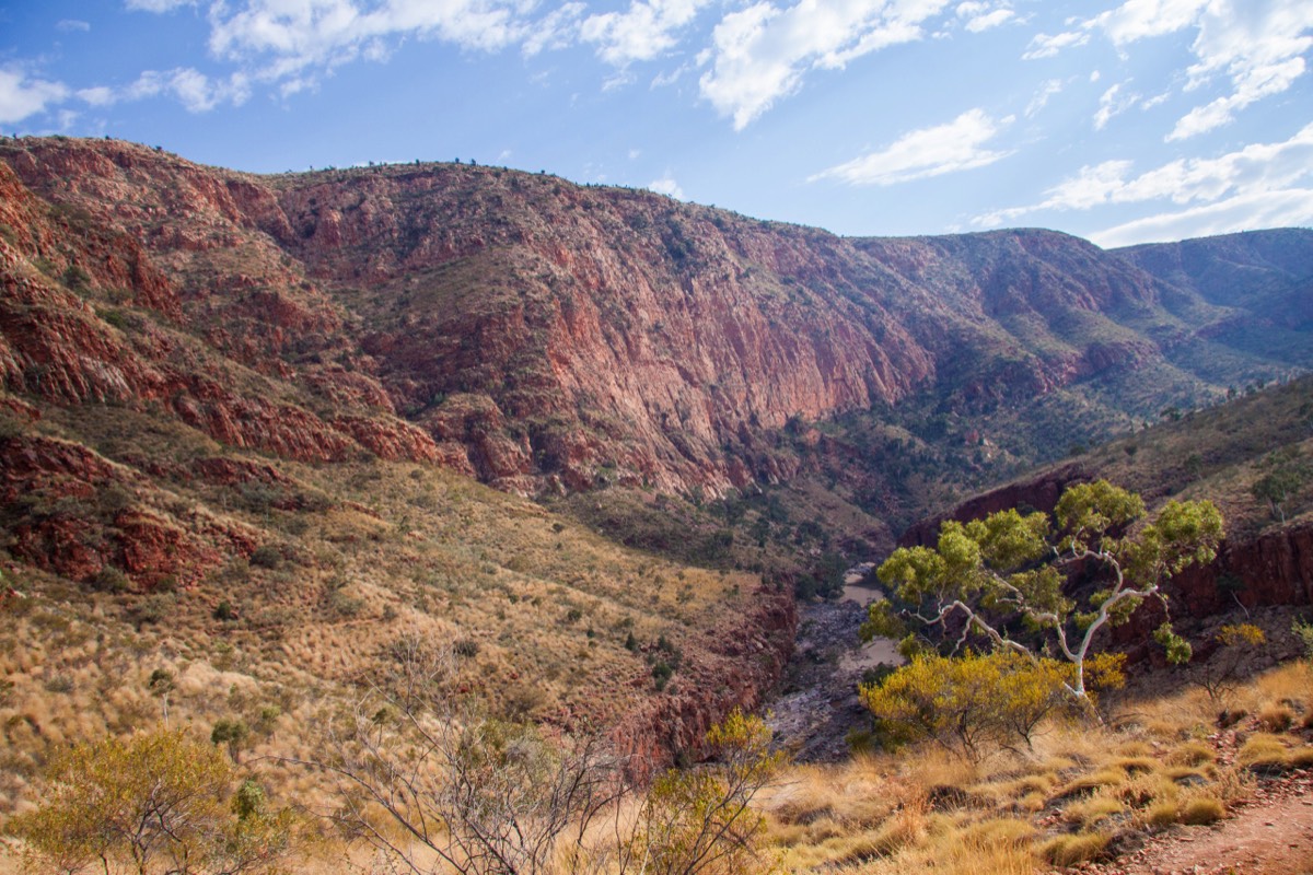 This is why we came to the West-MacDonnell Ranges