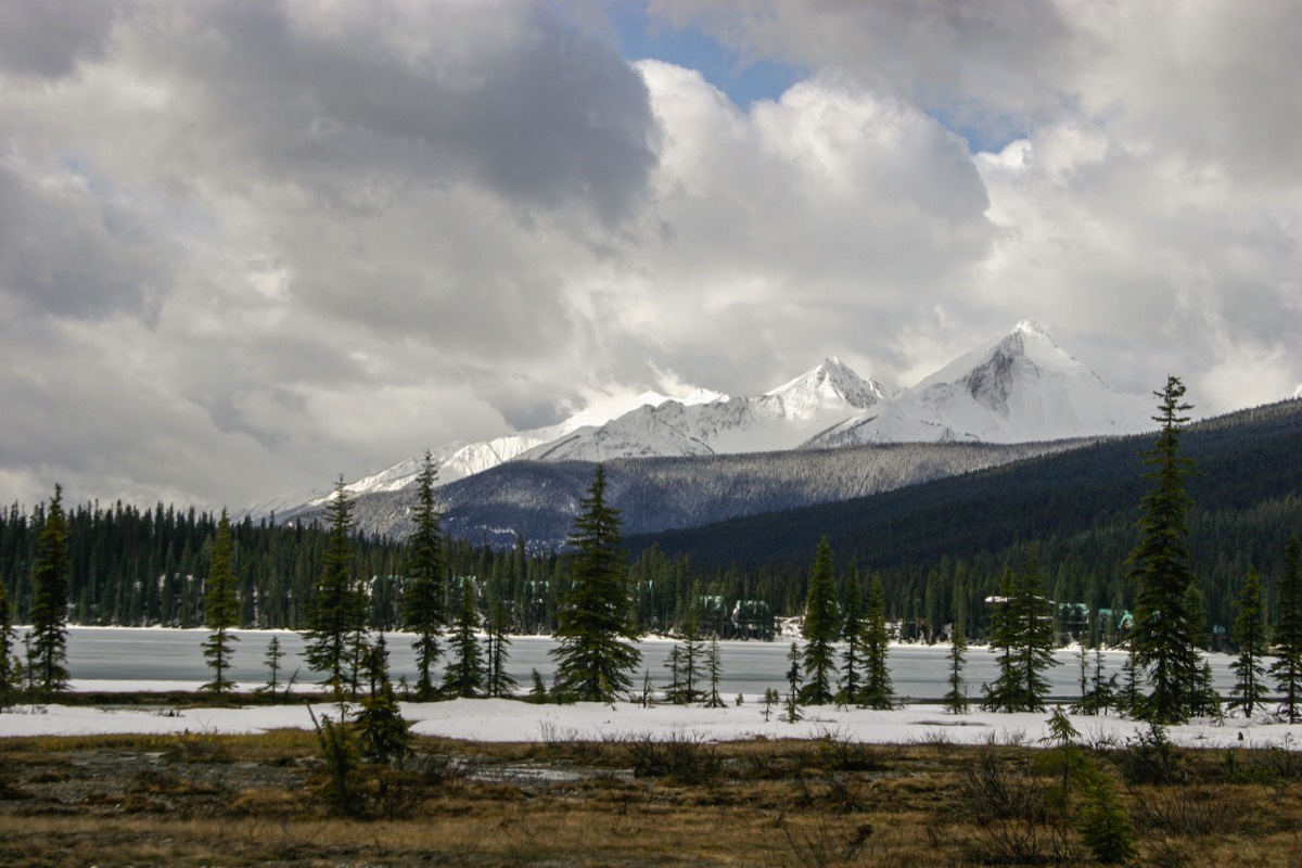 Signs of the slow disappearance of the lake - Yoho NP