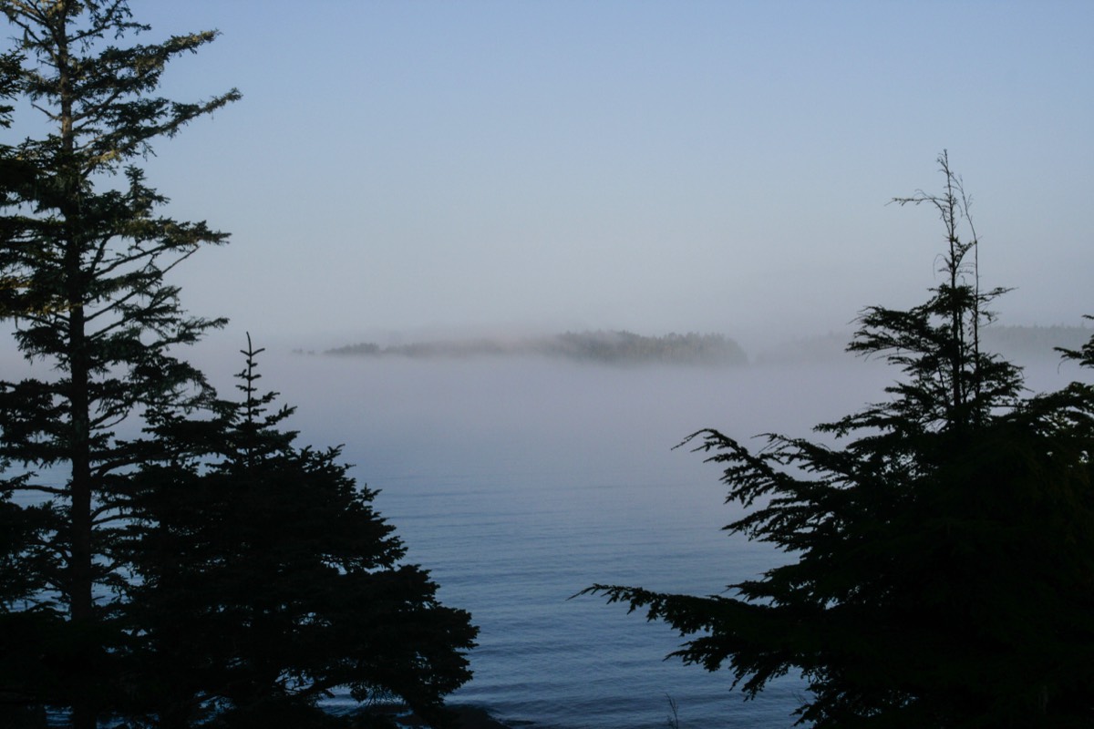 Morning mist on the Pacific - Vancouver Island