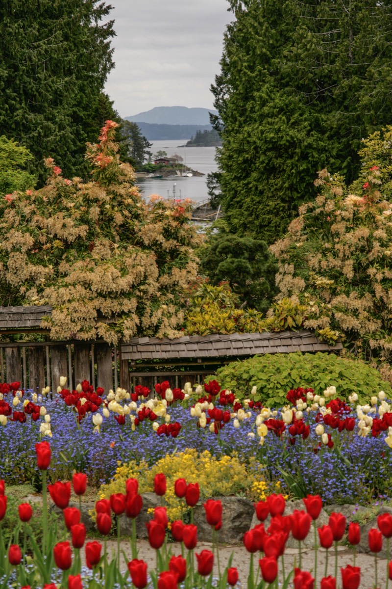 View on the sea from Butchart Gardens