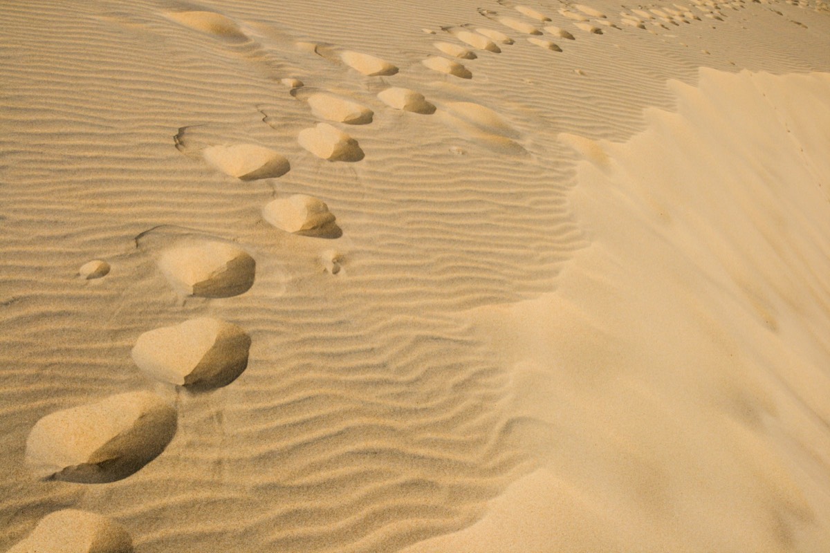 Leave nothing but footprints