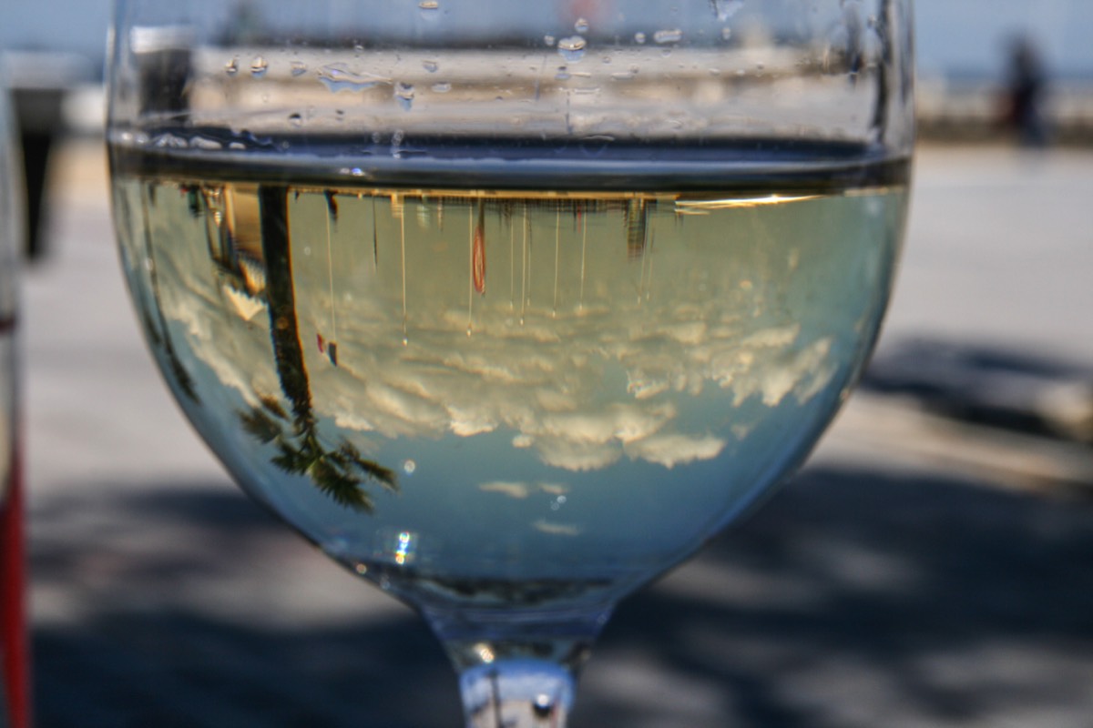 Sea shore in a glass of wine