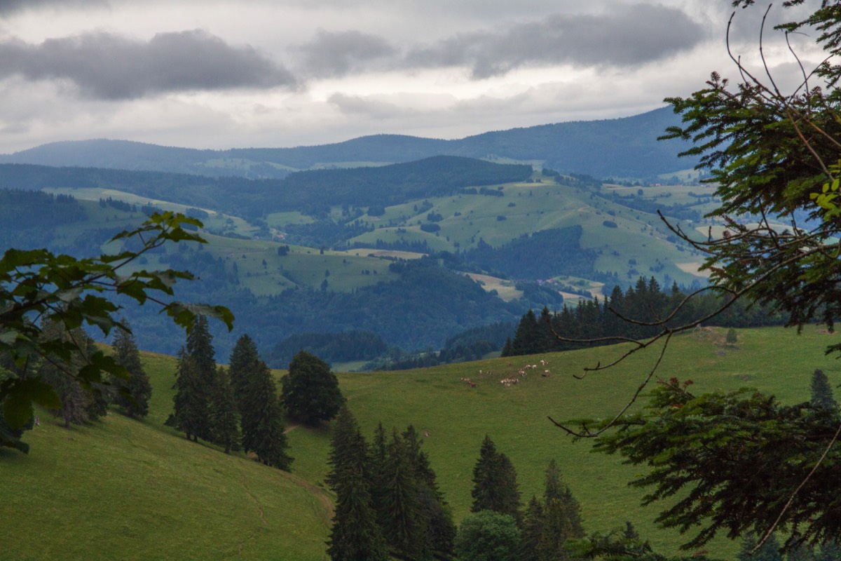 View on the valley from Belchen