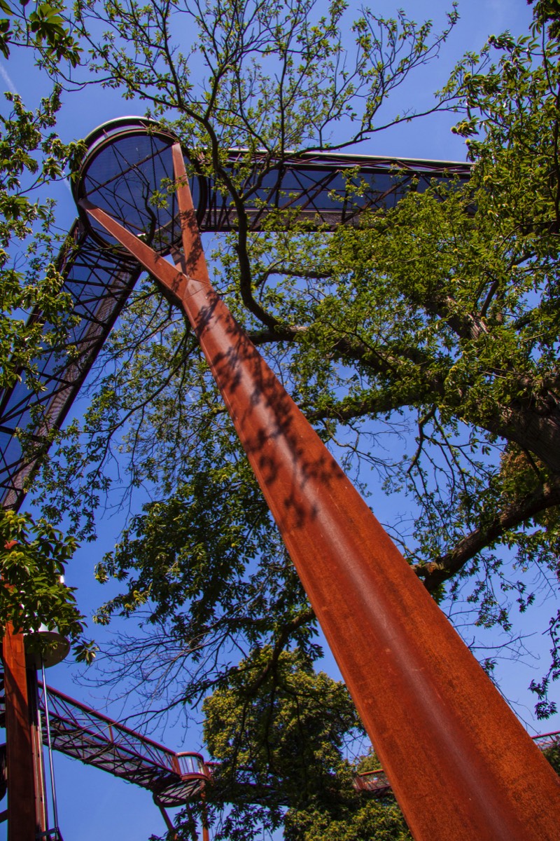 Pylon to walk among the treetops