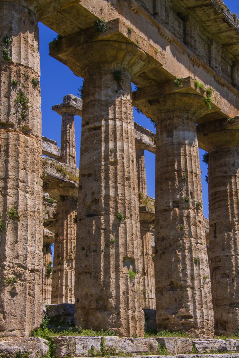 Paestum - Detail of temple of Hera
