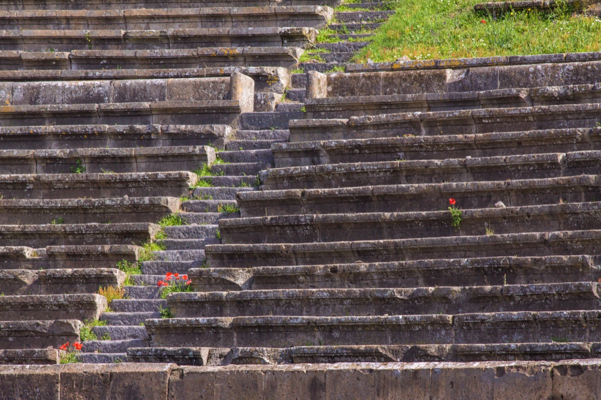 Seats of the amphitheatre with poppies