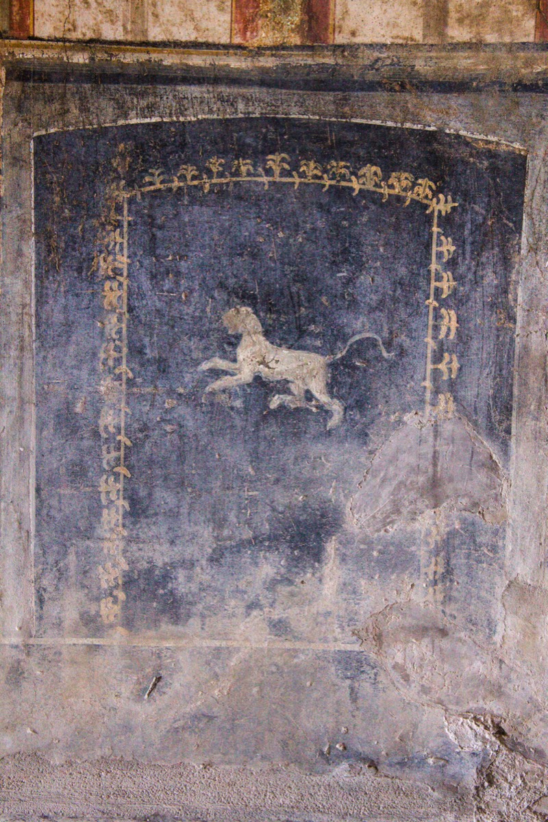 Fresco of lion - House of the Menander
