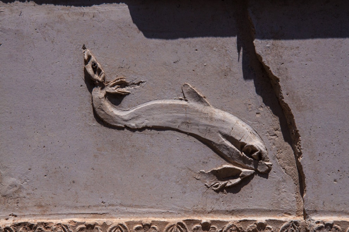 Pompeii - Temple of Isis, stucco of a dolphin
