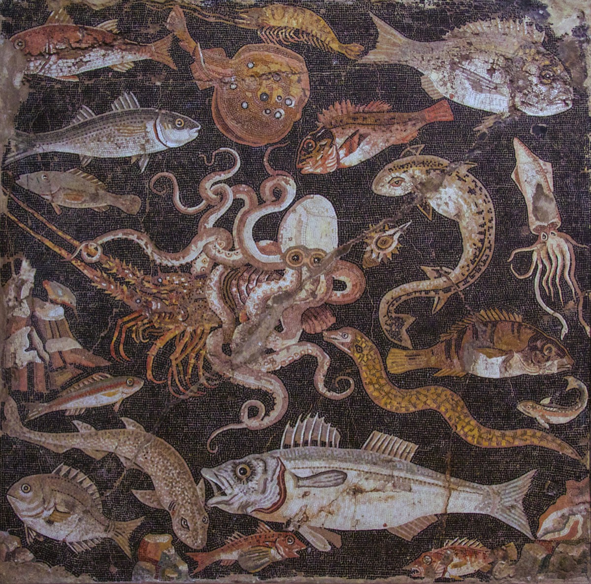 Museum of Naples - Marine fauna mosaic