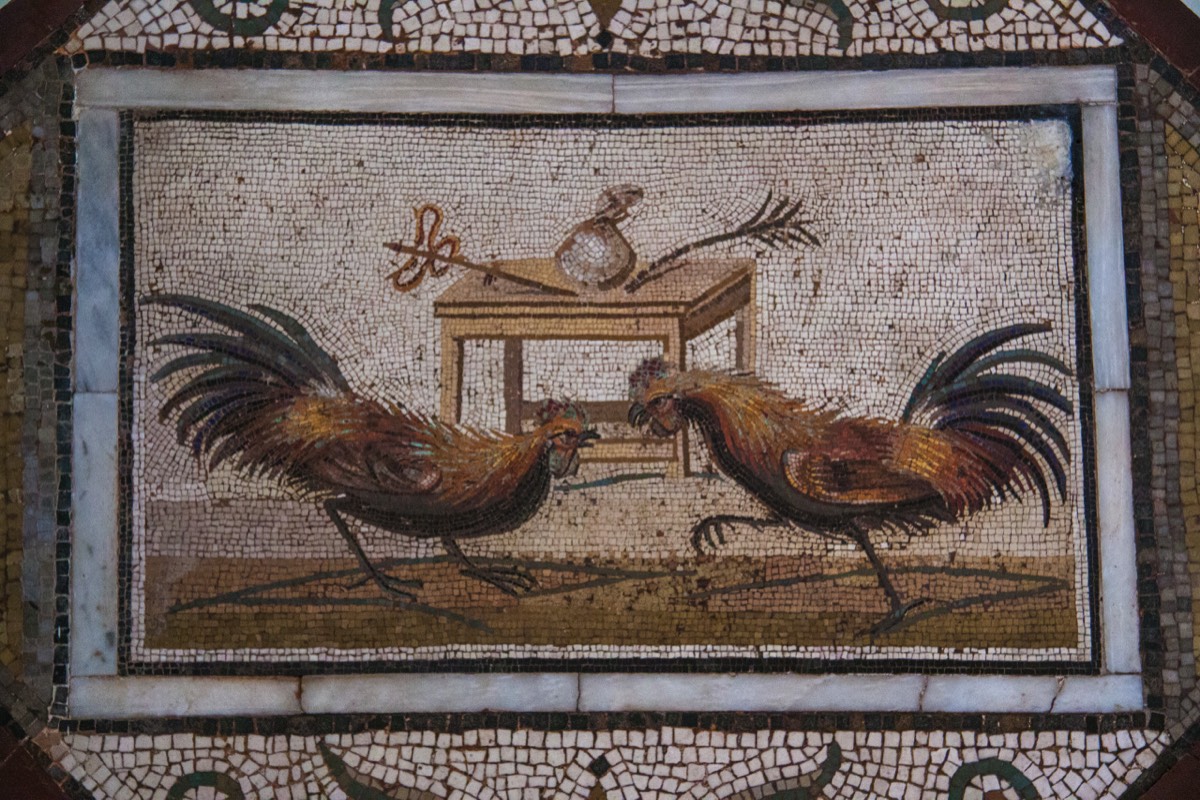 Museum of Naples - Fighting cockerels mosaic