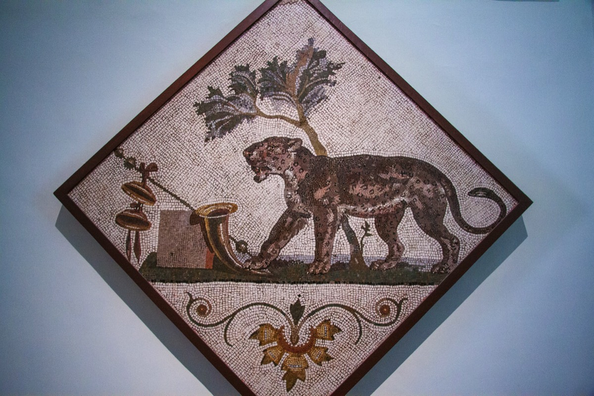 Museum of Naples - Panther mosaic