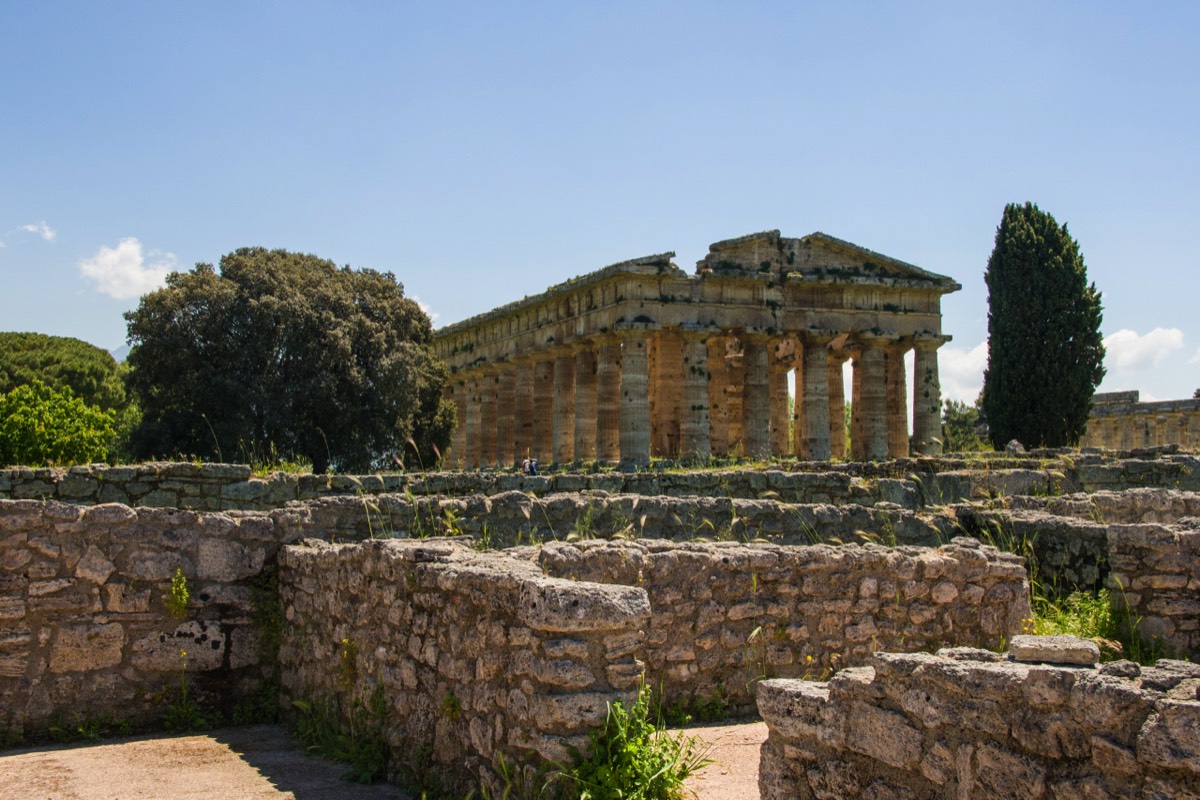 Paestum - Temple of Hera again