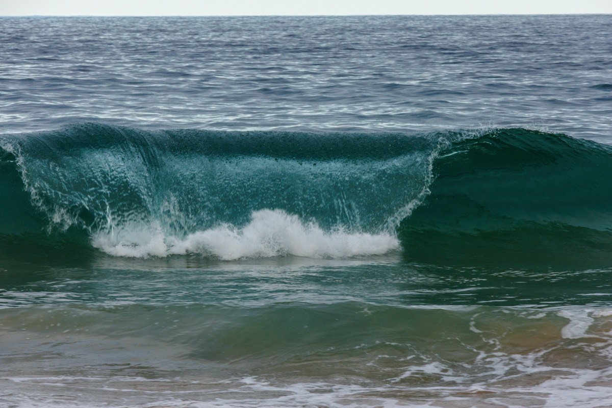 Plettenberg bay
