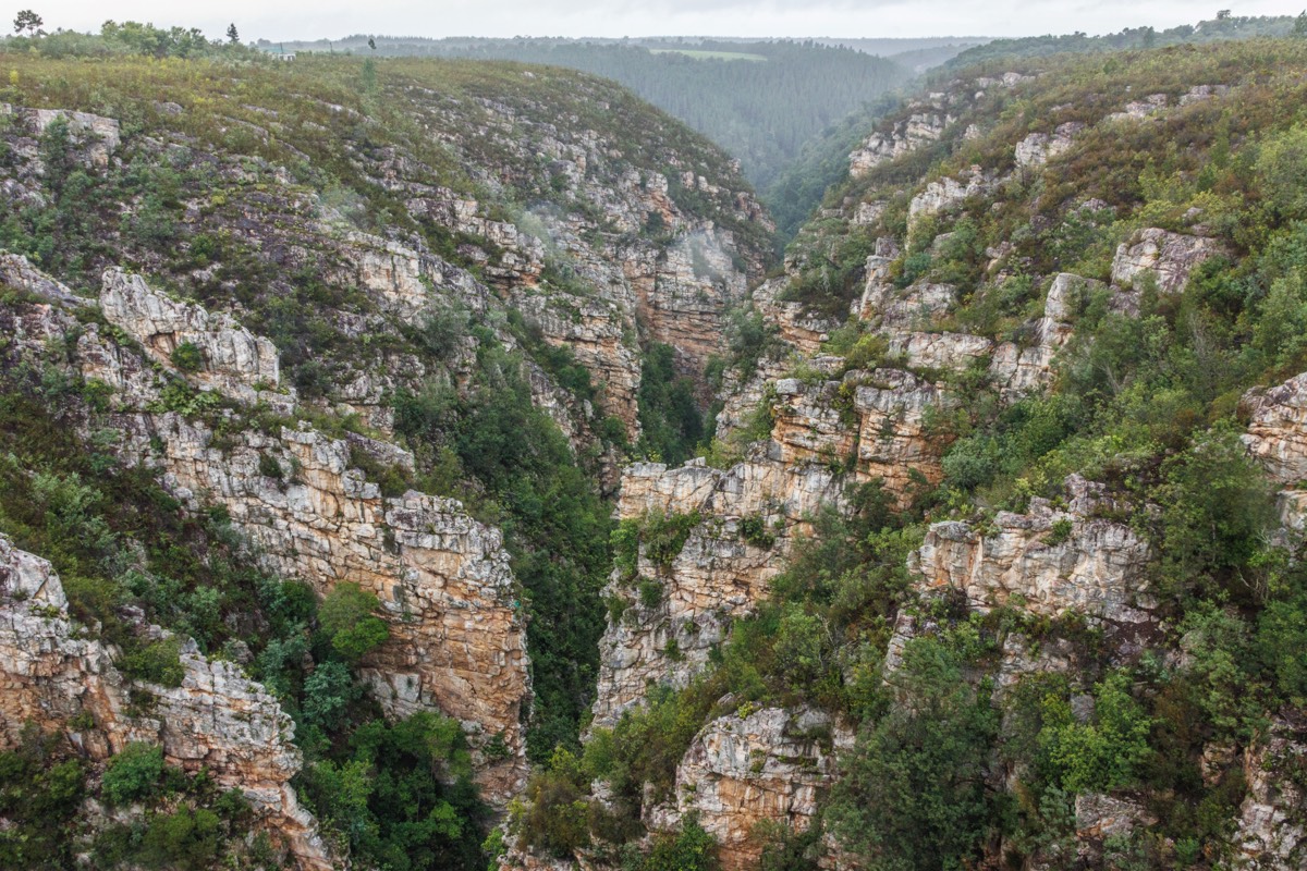 Stormsriver canyon