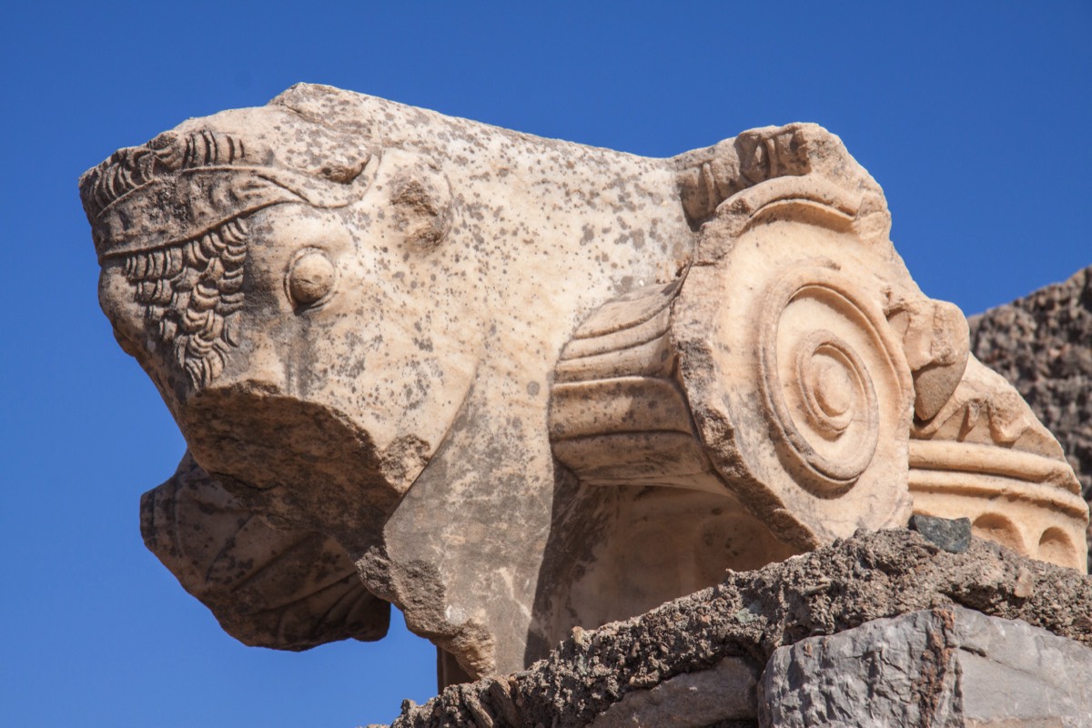 Ephesus - Basilika column