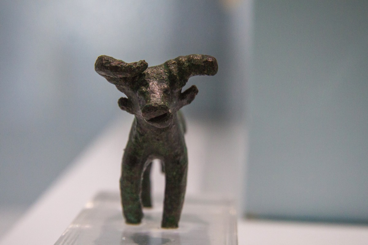 Miletus Museum - Skew-horned bovine