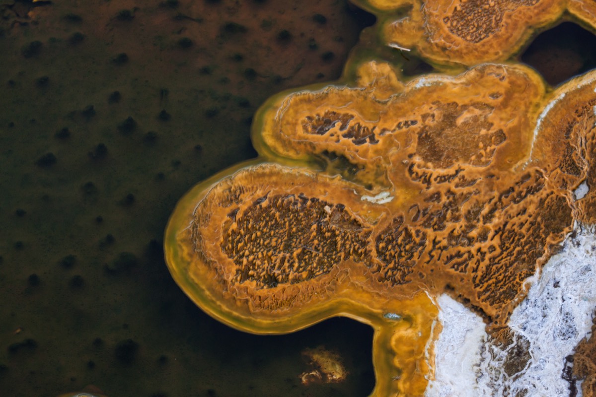Old Faithfull Geyser Basin - Colourful detail
