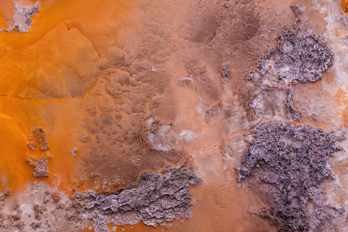 Old Faithfull Geyser Basin - Colourful detail