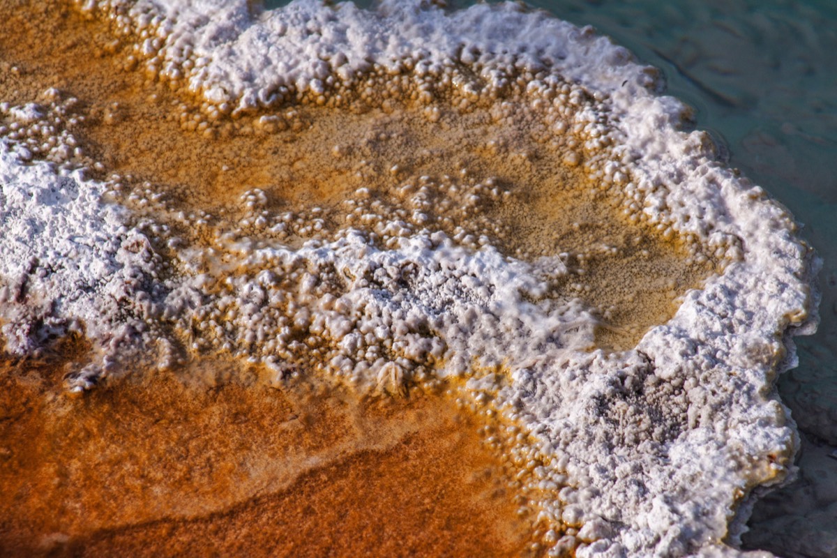 Colourful detail in West Thumb Geyser Basin