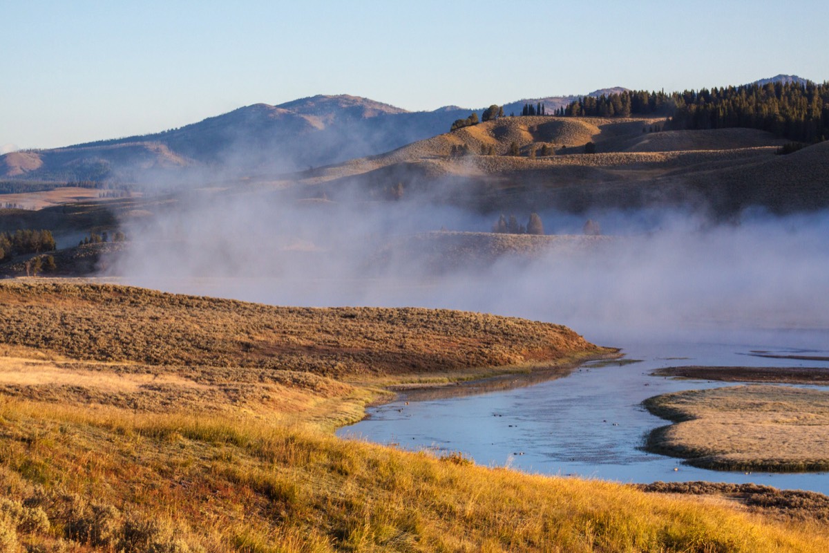 Yellowstone River in the morning mist
