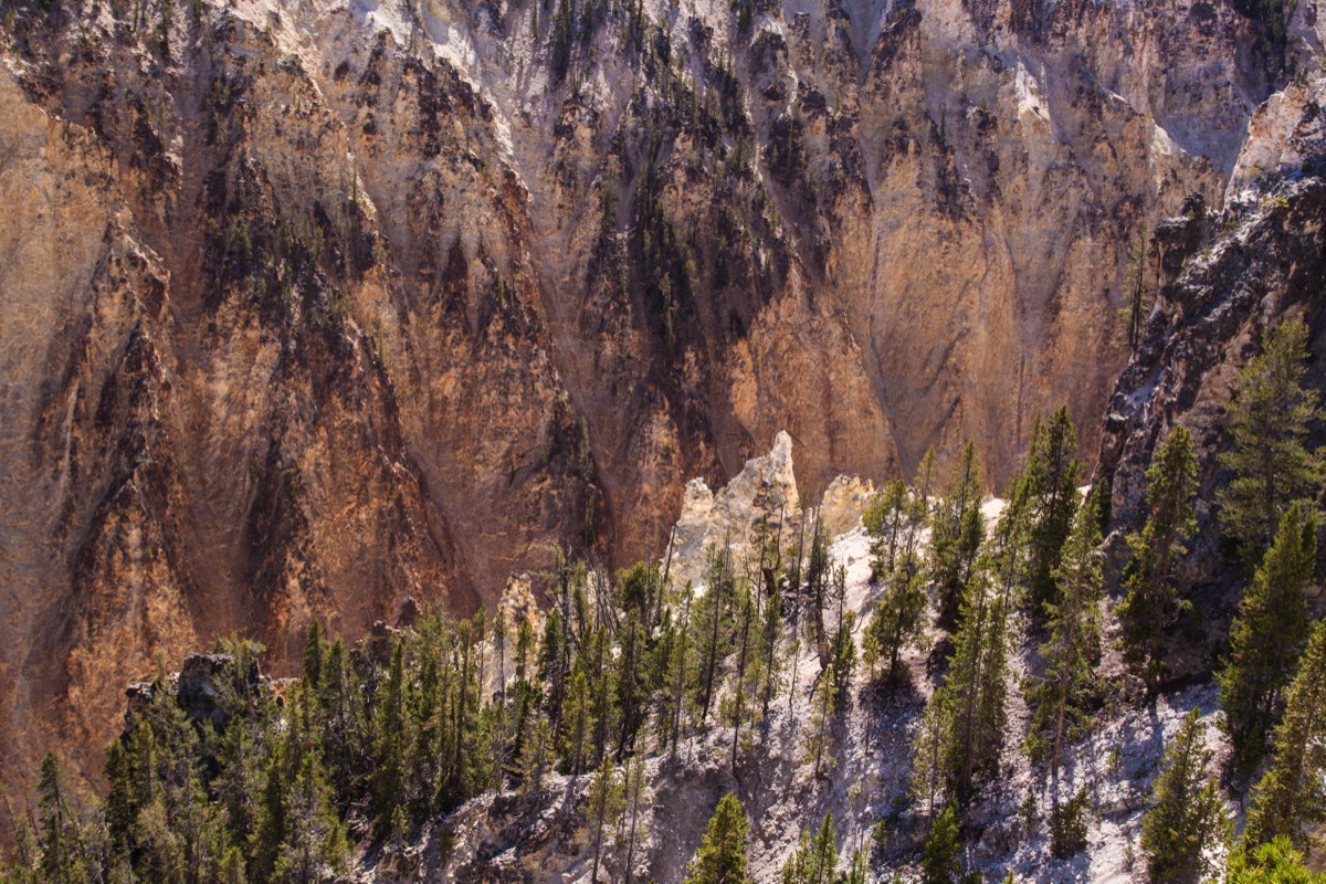 Grand Canyon of the Yellowstone - Northern Rim