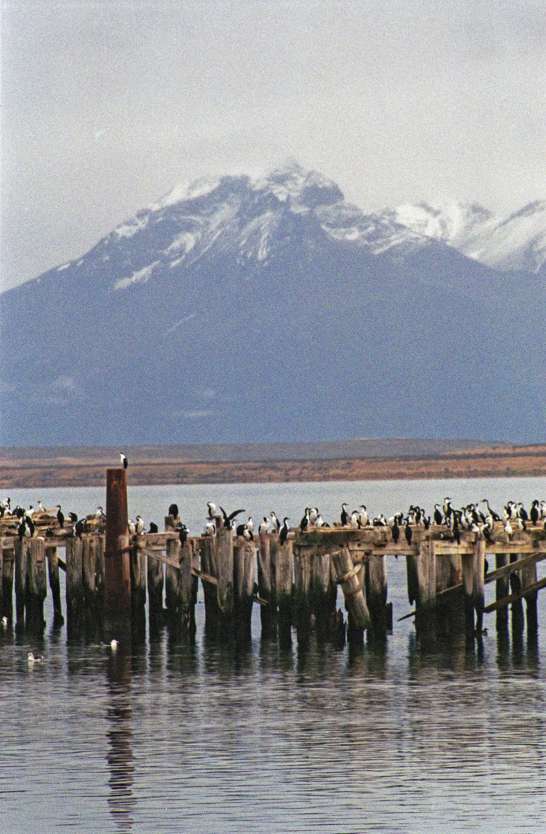 Bay at Puerto Natales