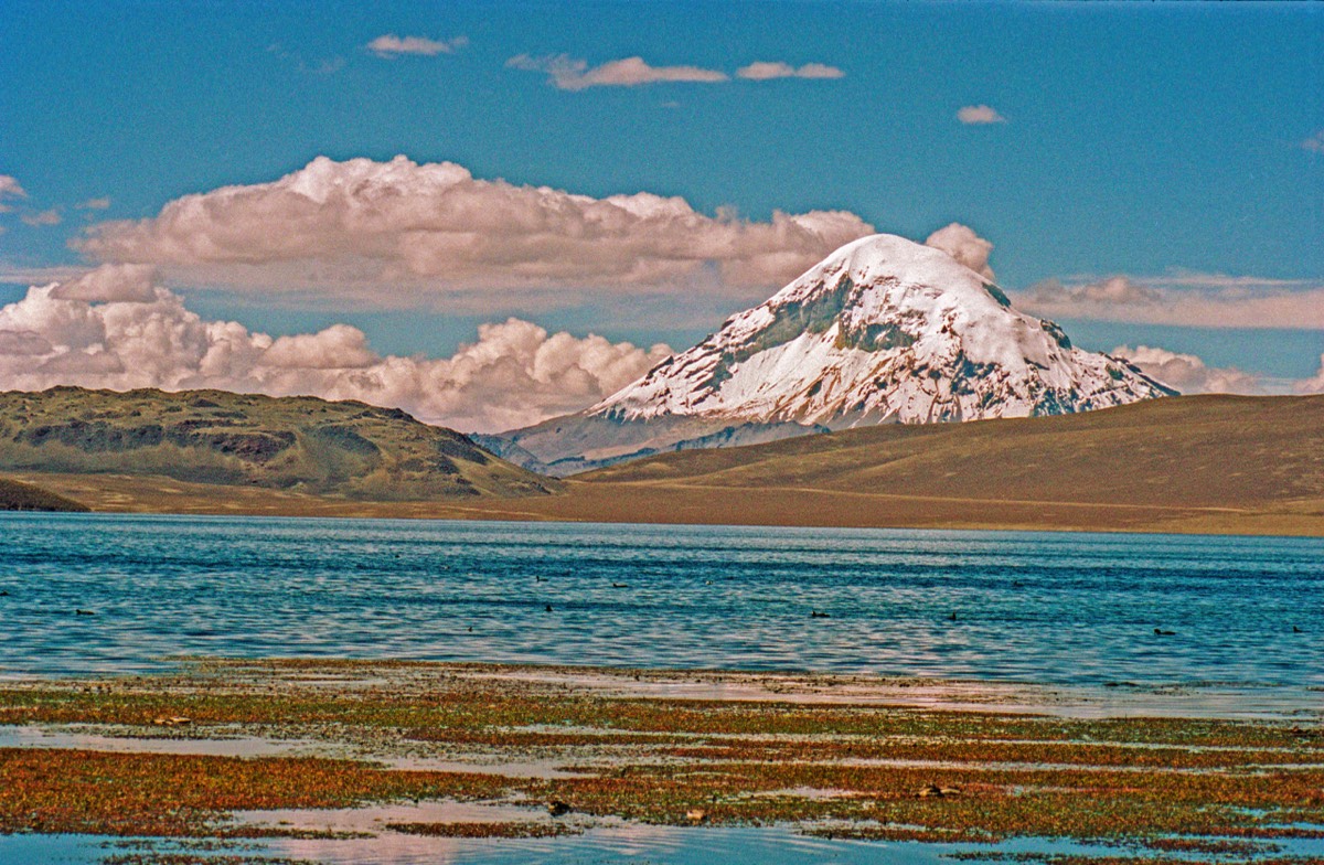 Pomerape vulcano and Chungara lake