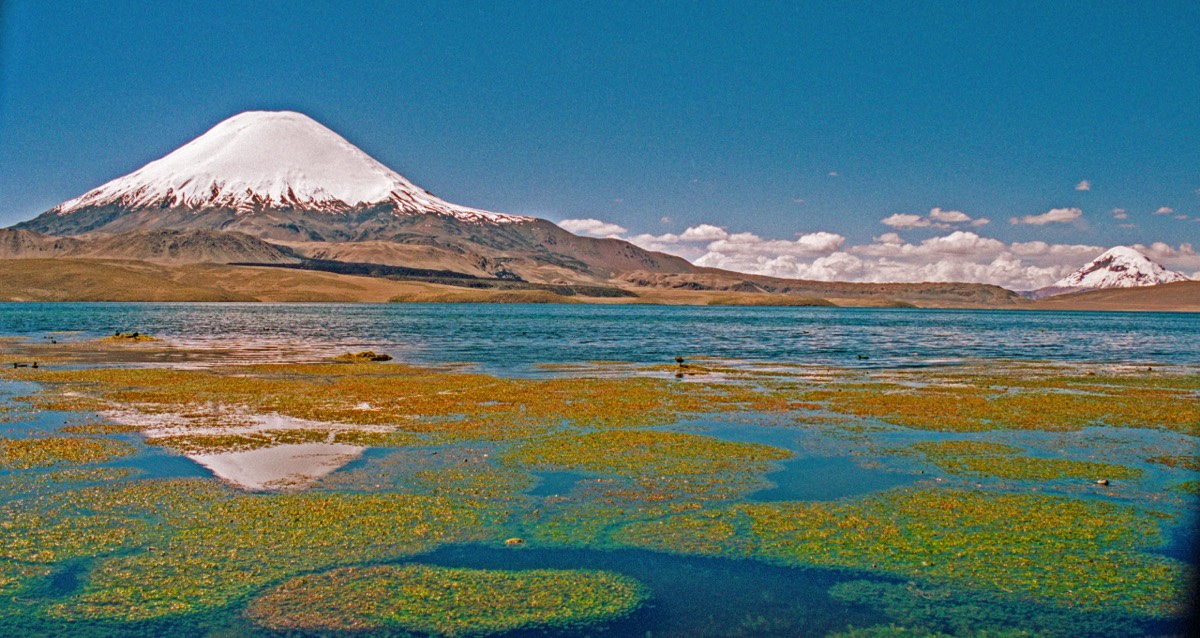 Parinacota reflected in Chungara lake