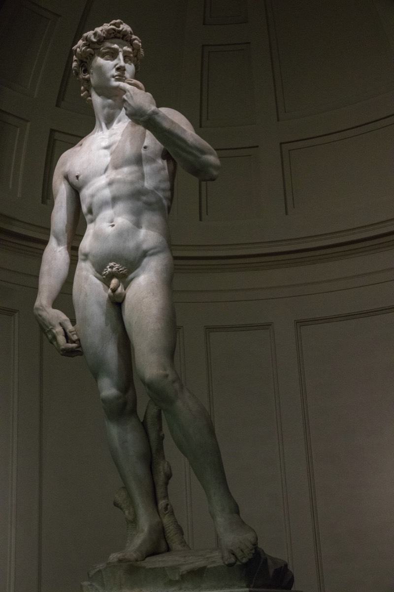 Michelangelo's David, as everyone knows
