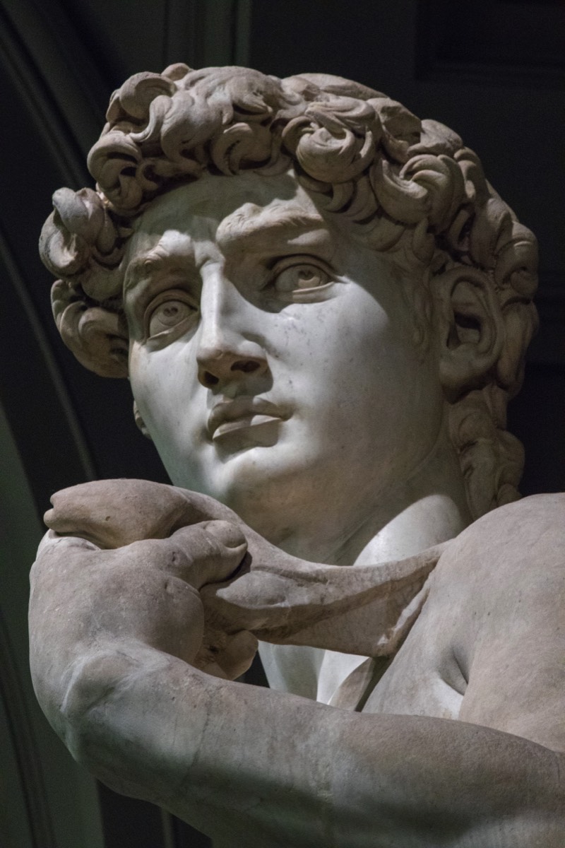 Detail of Michelangelo's David