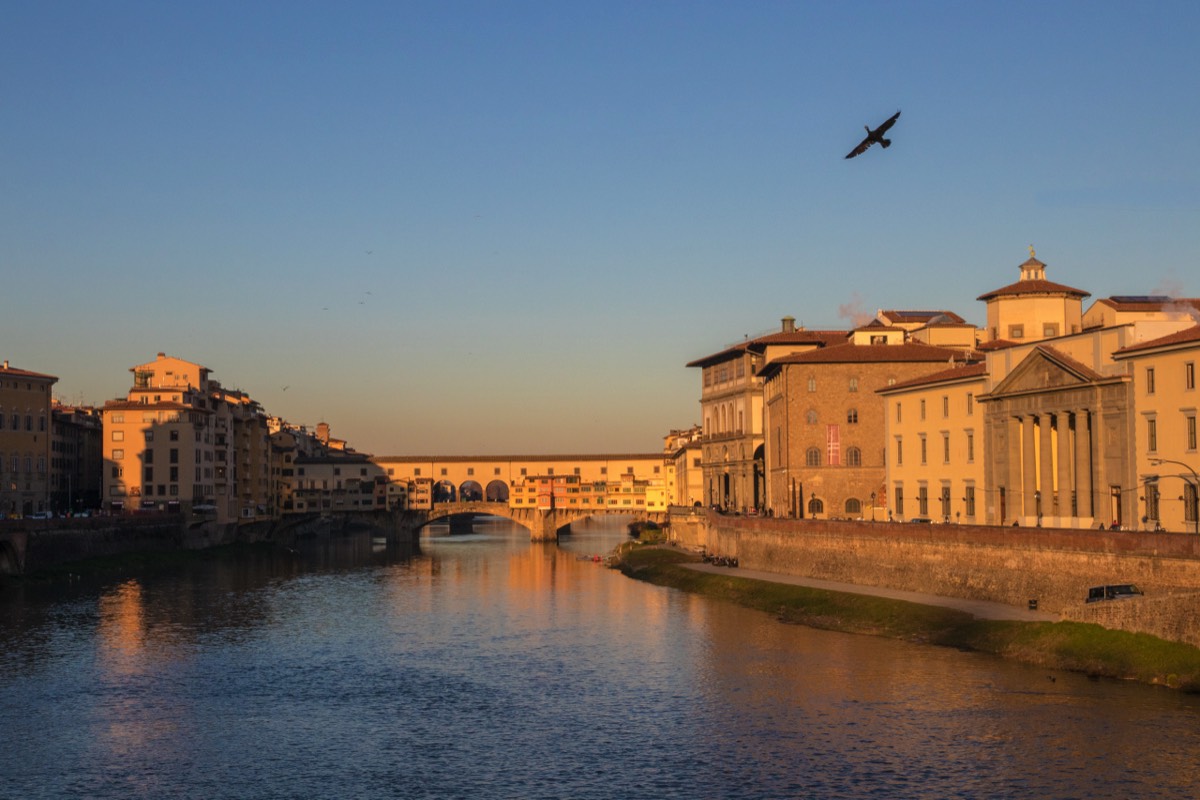 Sunrise on the Ponte Vecchio with cormorant