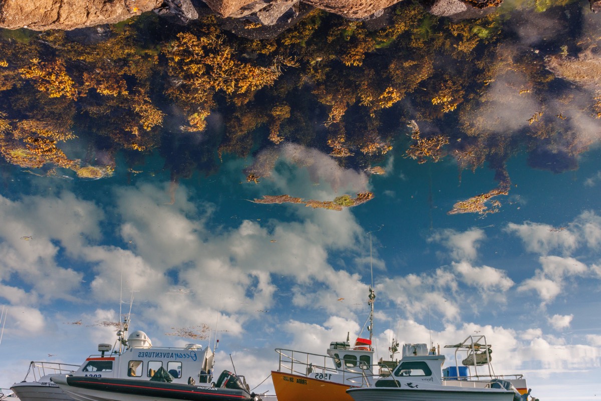 The Upside-Down
