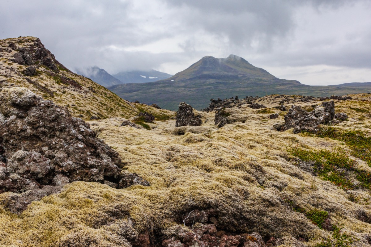 Berserkjahraun, moss-covered lava field