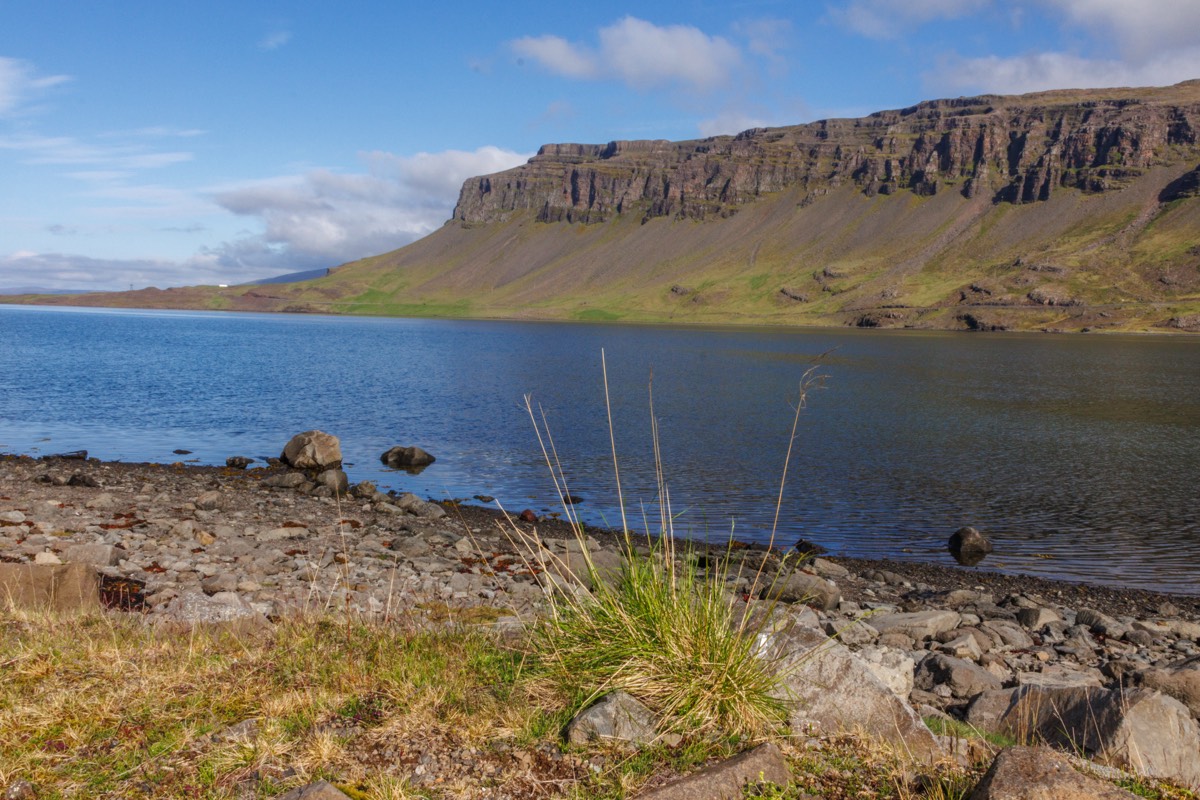 Whale bay