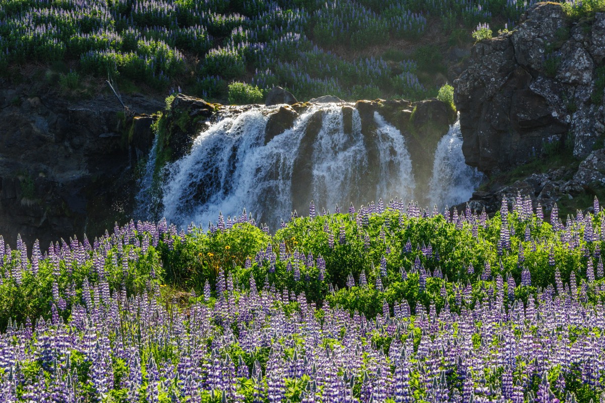 Hvalfjordur - Fossarrett