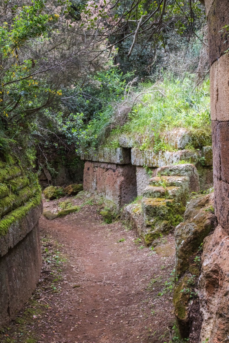 Wonderful site of Cerveteri - almost like an Asian jungle temple