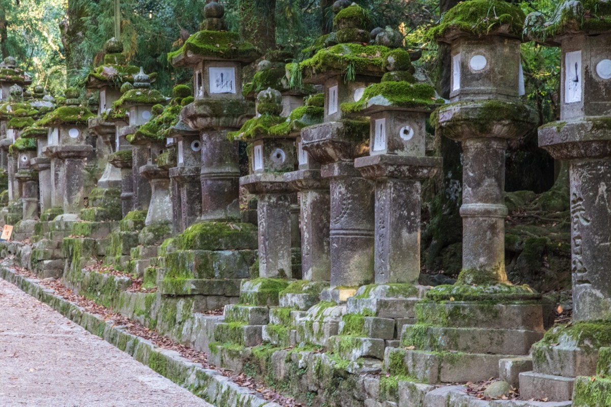 Shrines at Kasuga Taisha