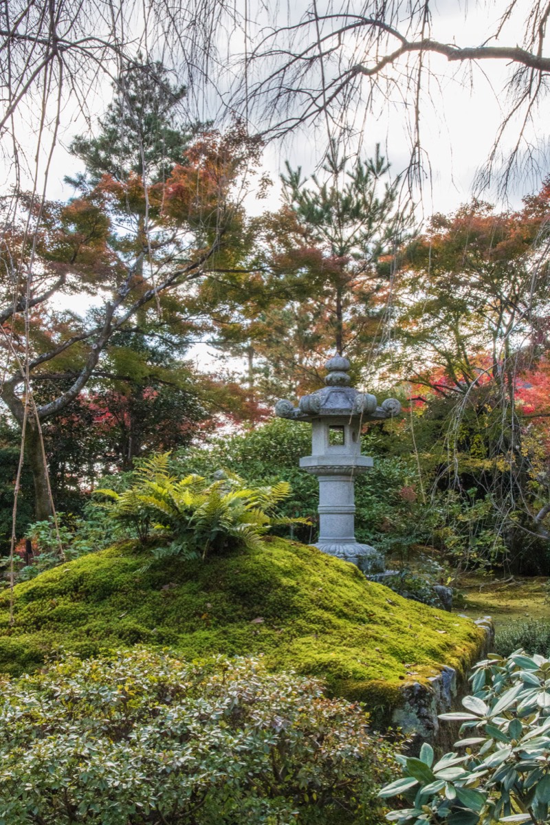 Definitely a Japanase garden at Tenryuji Temple