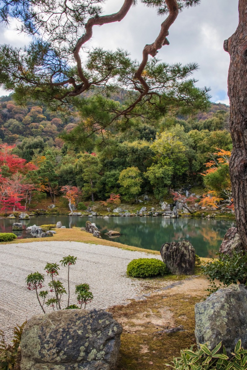 Another great example of a Japanese garden at Tenryuji Temple