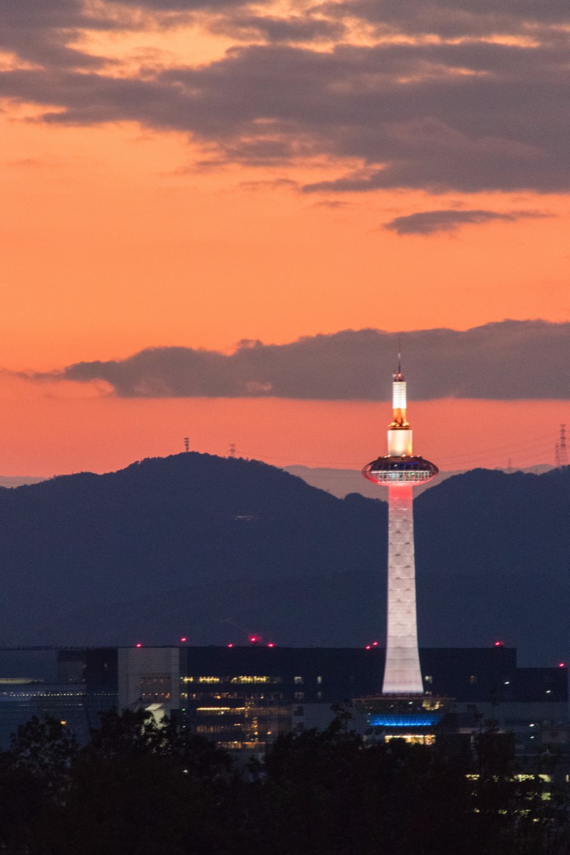 View of Kyoto tower