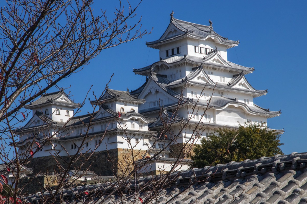 We can't get enough of Himeji castle 