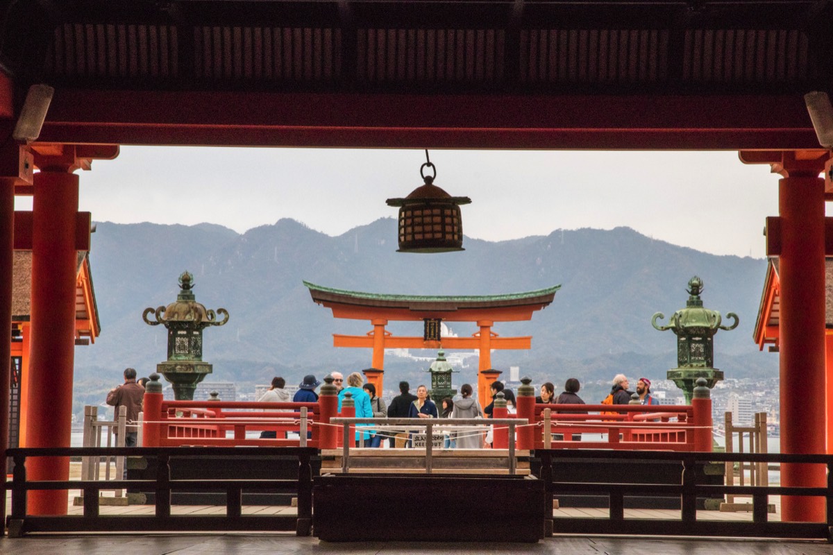 Symmetrical view on floating toriii gate
