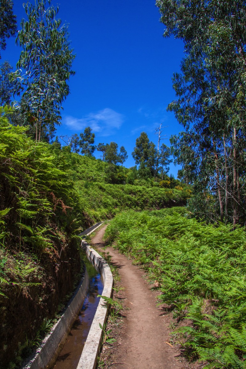 Levada Cabo: lush green walk