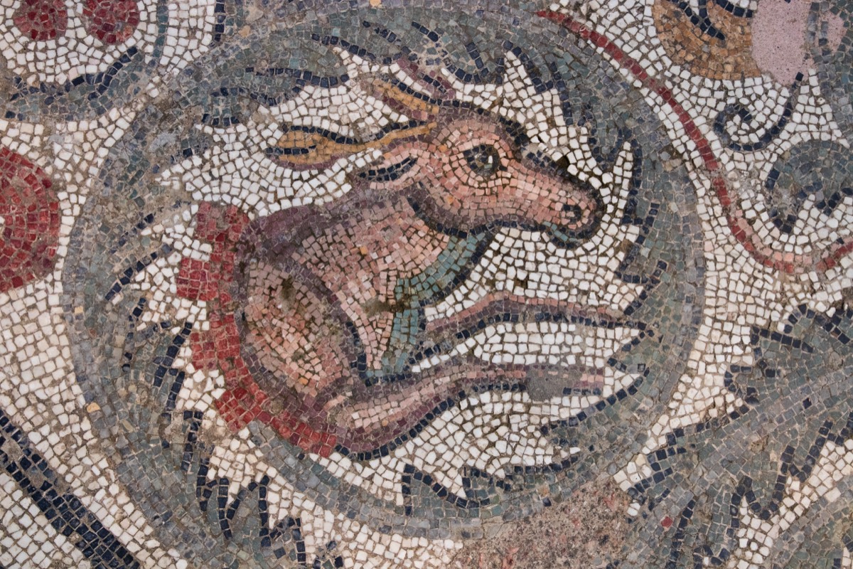 Deer-like mosaic
