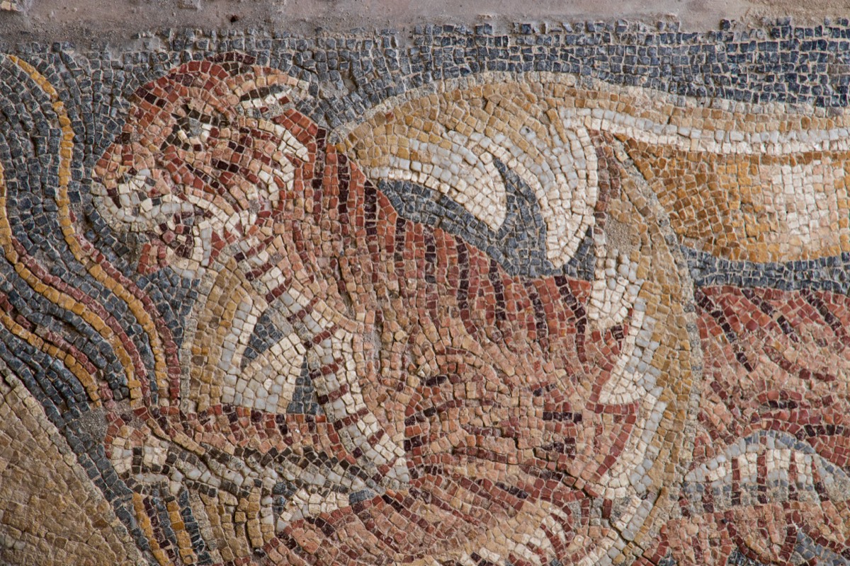 Tellaro Roman Villa - Tiger mosaic