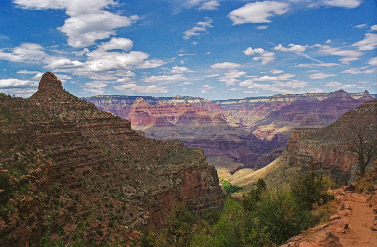 The Grand Canyon vista