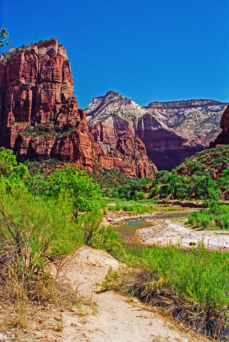 Zion National Park and the Virgin River